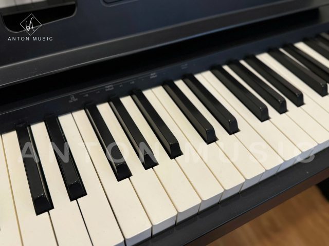 Đàn Piano Điện Roland FP-10