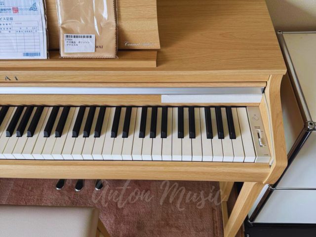 Đàn Piano Điện Hybrid Kawai CA48 Concert Artist Phím Gỗ Thật Giá Rẻ Chưa Từng Có