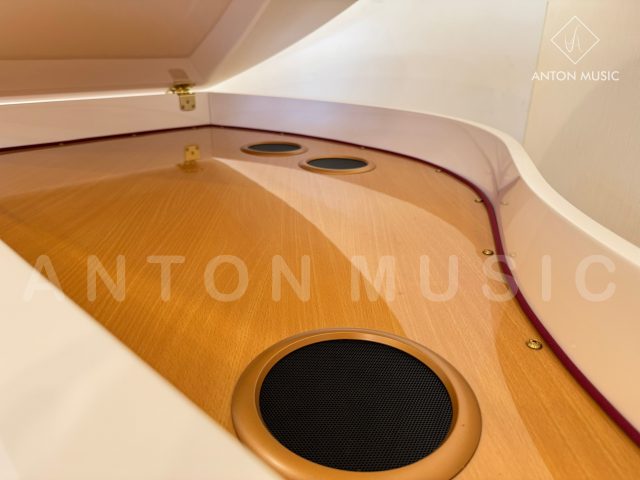 Đàn Piano Roland GP-609 Mô Phỏng Grand Mini Cao Cấp