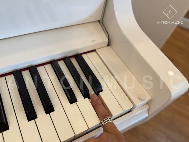 Đàn Piano Roland GP-609 Mô Phỏng Grand Mini Cao Cấp
