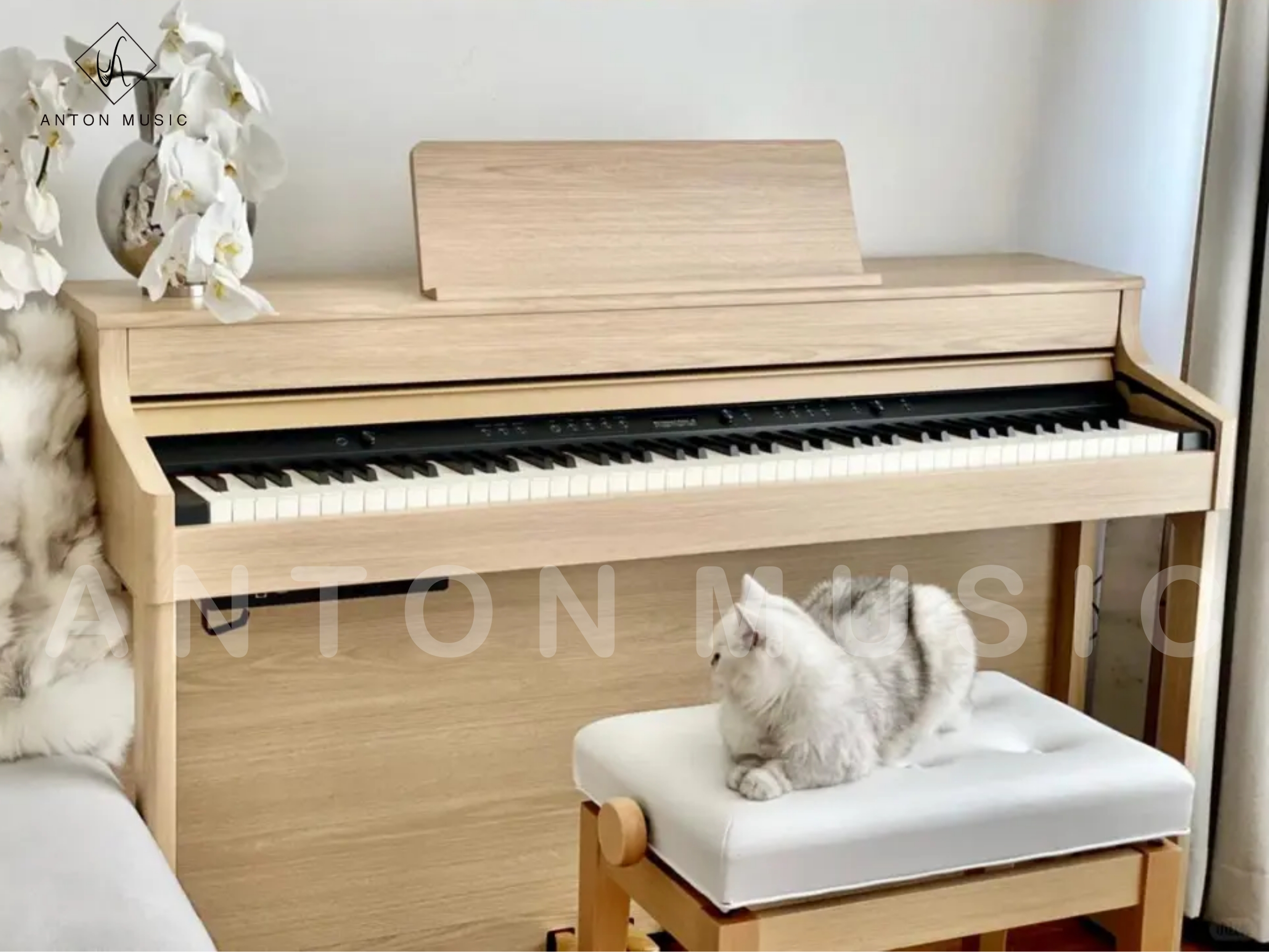 Đàn Piano Điện Roland Tầm Trung Full Chức Năng HP-702 Bán Chạy Nhất Phân Khúc