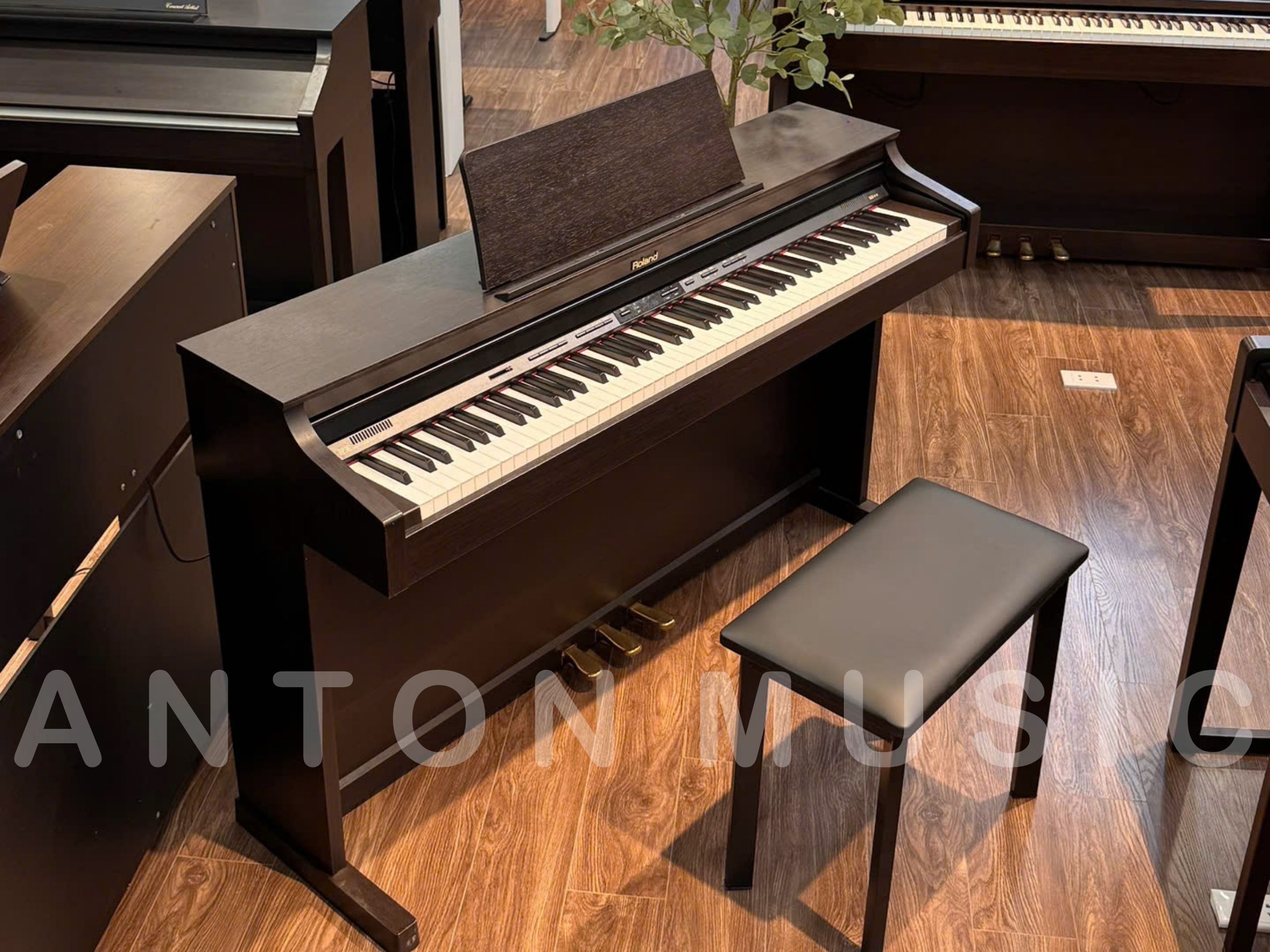 Roland HP-302R nâu đen dưới ánh đèn vàng