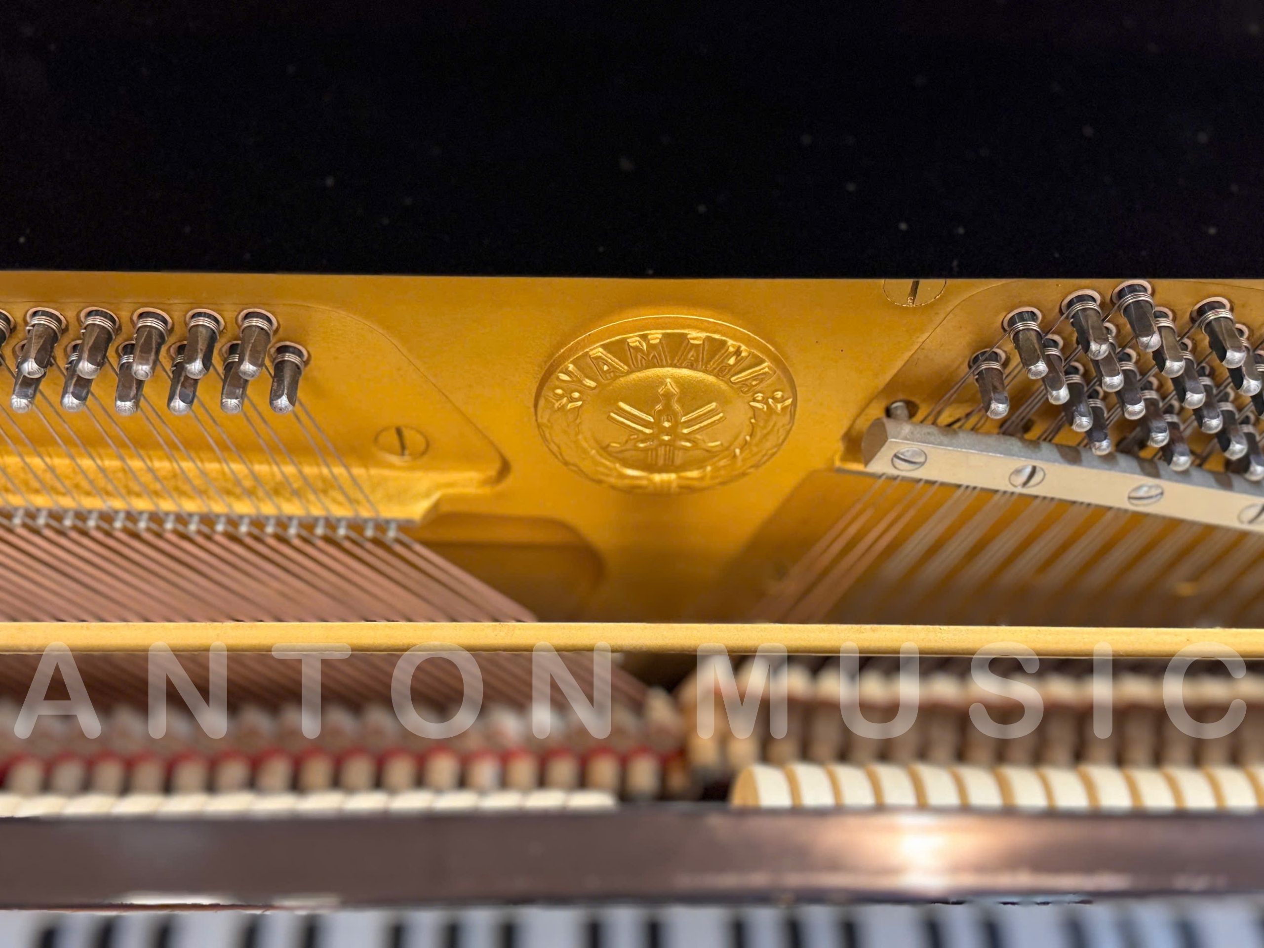Chất âm Yamaha cũng rất đặc trưng sáng, rõ, gọn tiếng và dễ nghe trong môi trường học tập.