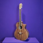 GUITAR ACOUSTIC GỖ ĐIỆP FULL SV-FA6
