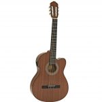 Guitar Classic GREG BENNETT CNG-1CE NAT.