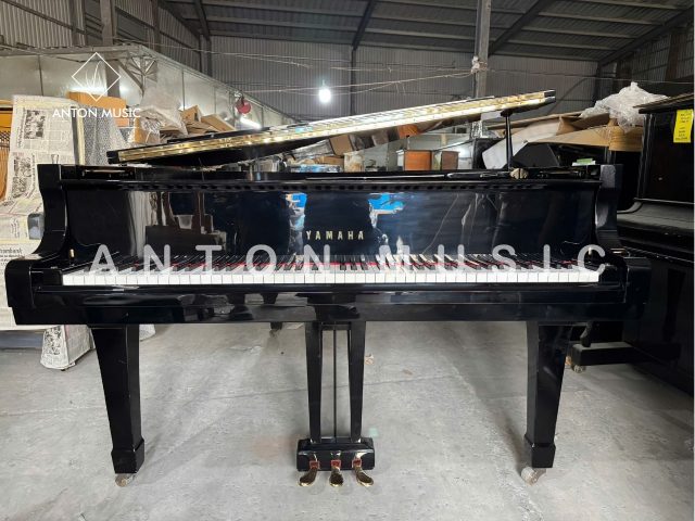 Đại Dương Cầm Yamaha G5 Grand Nhập Khẩu Chính Hãng