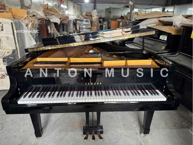 Đại Dương Cầm Yamaha G5 Grand Nhập Khẩu Chính Hãng