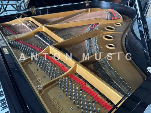 Đại Dương Cầm Yamaha G5 Grand Nhập Khẩu Chính Hãng