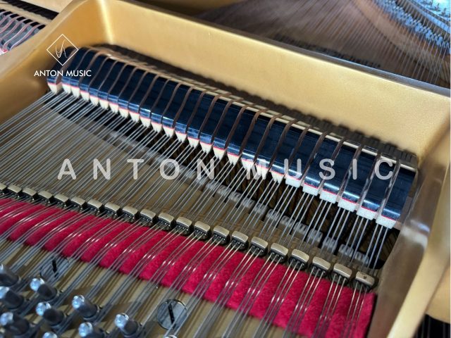 Đại Dương Cầm Yamaha G5 Grand Nhập Khẩu Chính Hãng