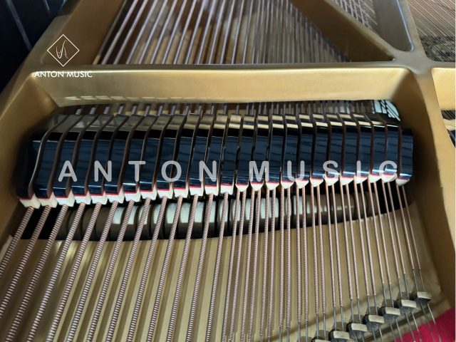 Đại Dương Cầm Yamaha G5 Grand Nhập Khẩu Chính Hãng