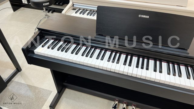 Đàn Piano Điện Yamaha YDP-144B New 100% - ARIUS - Đàn Piano
