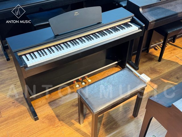 Tư Vấn Mua Đàn Piano Cho Người Mới Bắt Đầu: YDP-161 ARIUS Giá Rẻ