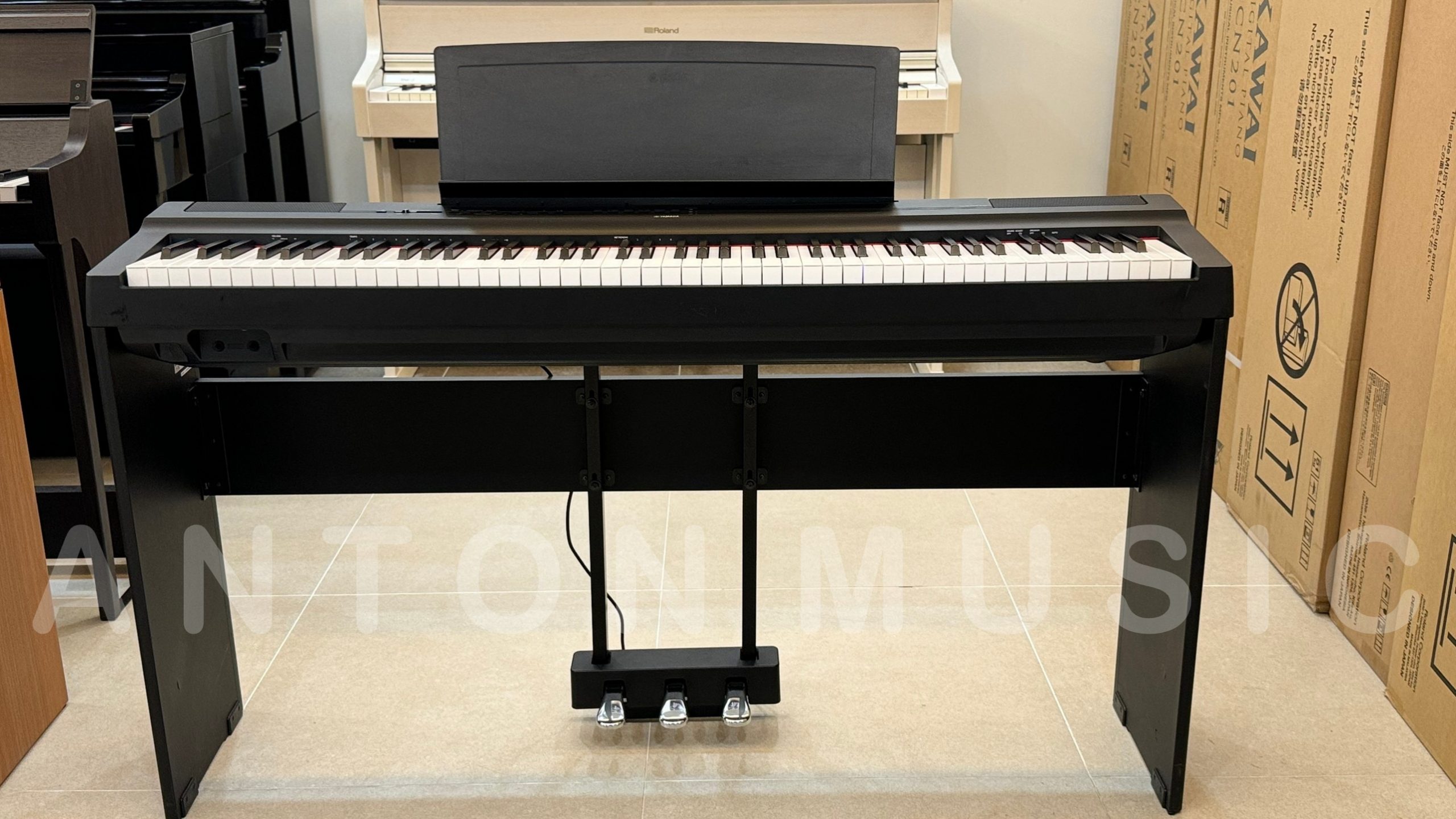 Casio PX S1100 Và Yamaha P 125