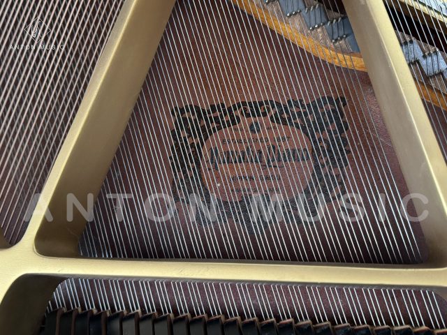 Đàn Grand Piano Yamaha G2 - Đàn Cánh Bướm Trưng Bày
