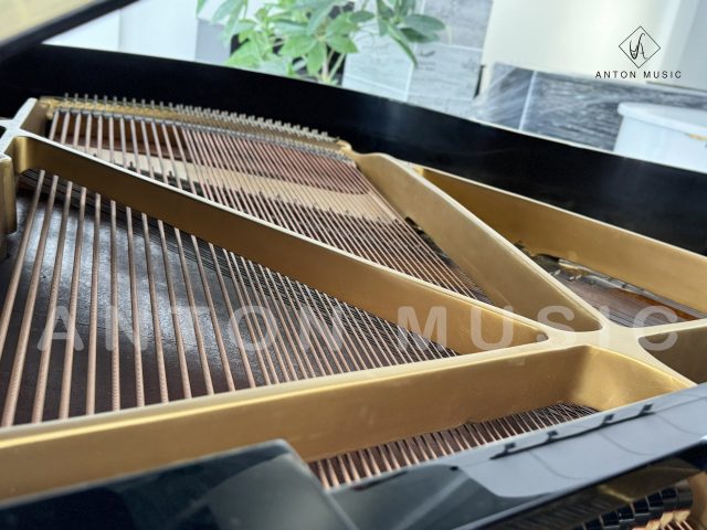 Đàn Grand Piano Yamaha G2 - Đàn Cánh Bướm Trưng Bày
