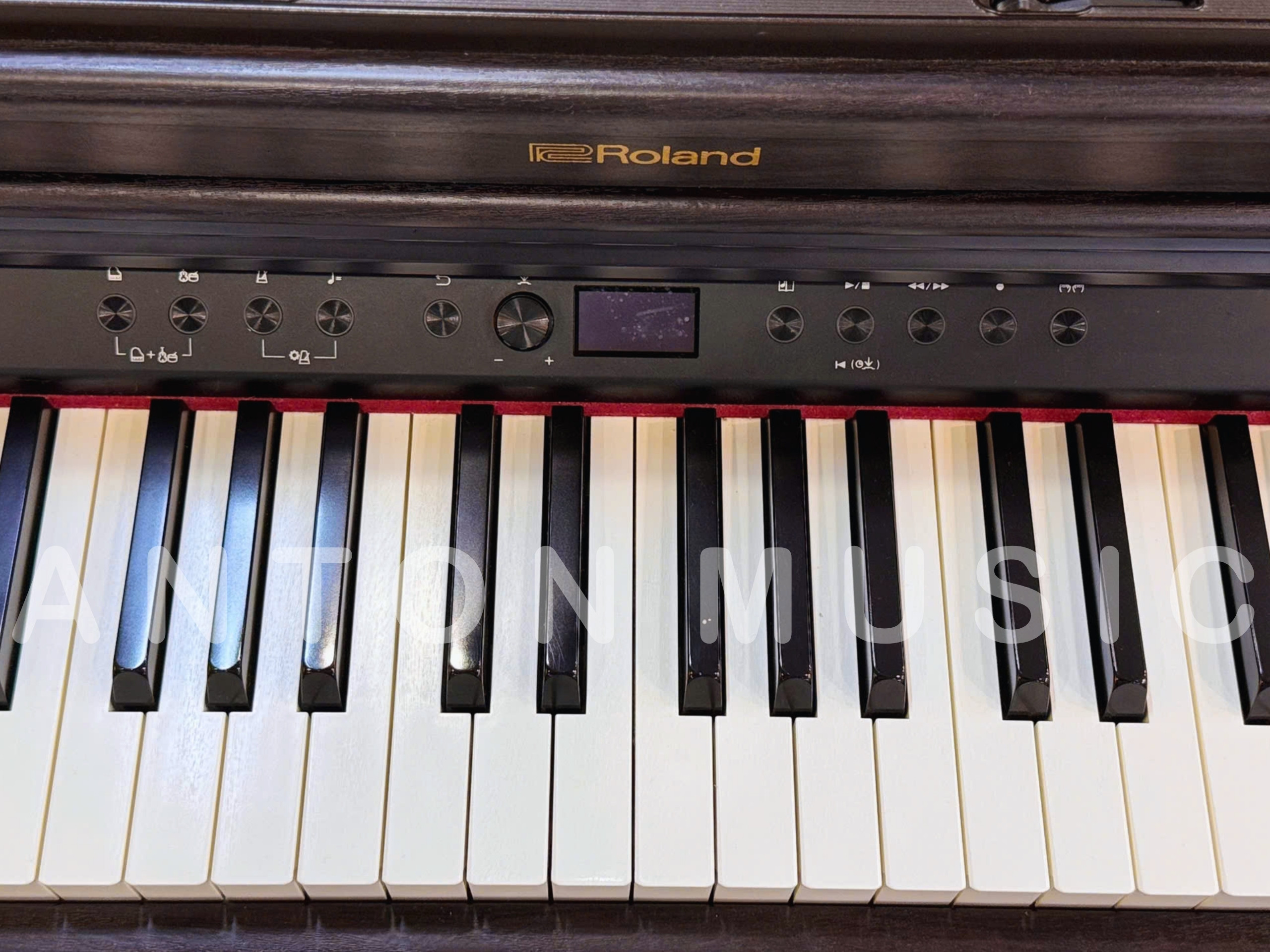 RP701DR (10)