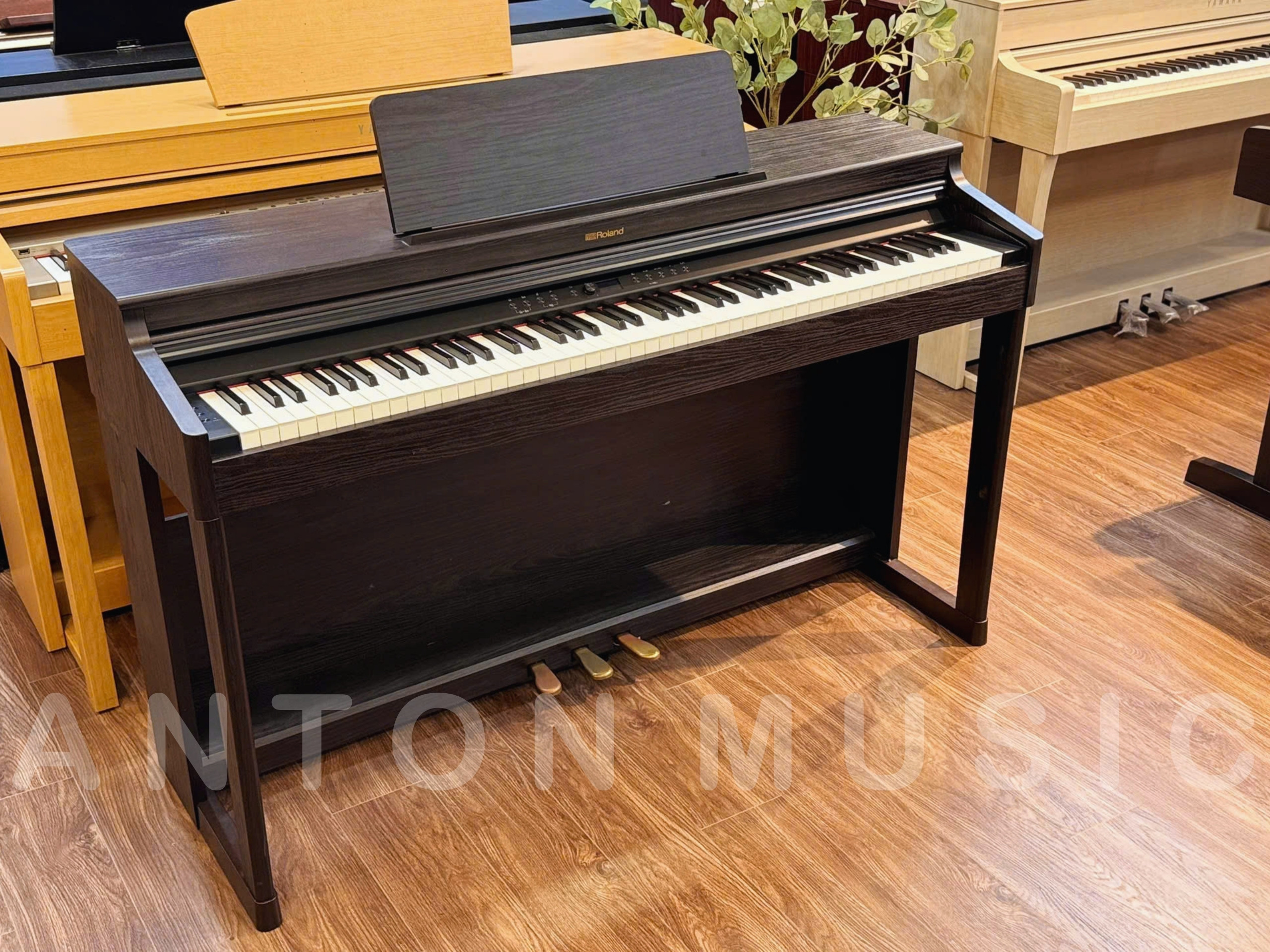 RP701DR (5)