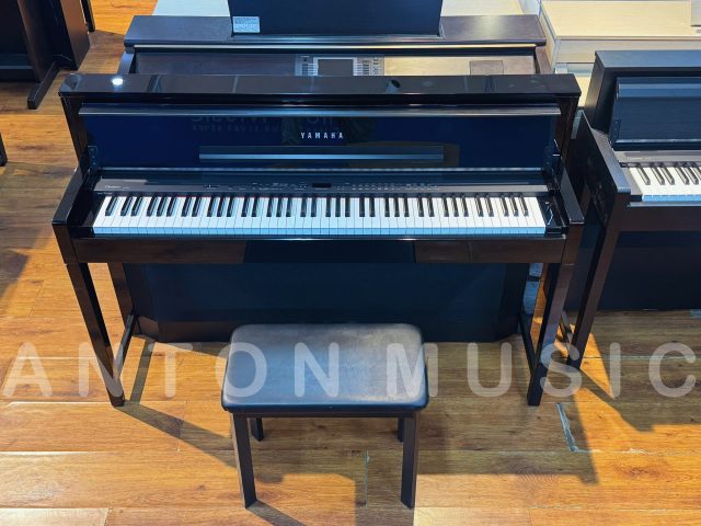 CLP-S408 gần như chỉ xuất hiện với một phiên bản màu duy nhất và chủ đạo: Đen bóng