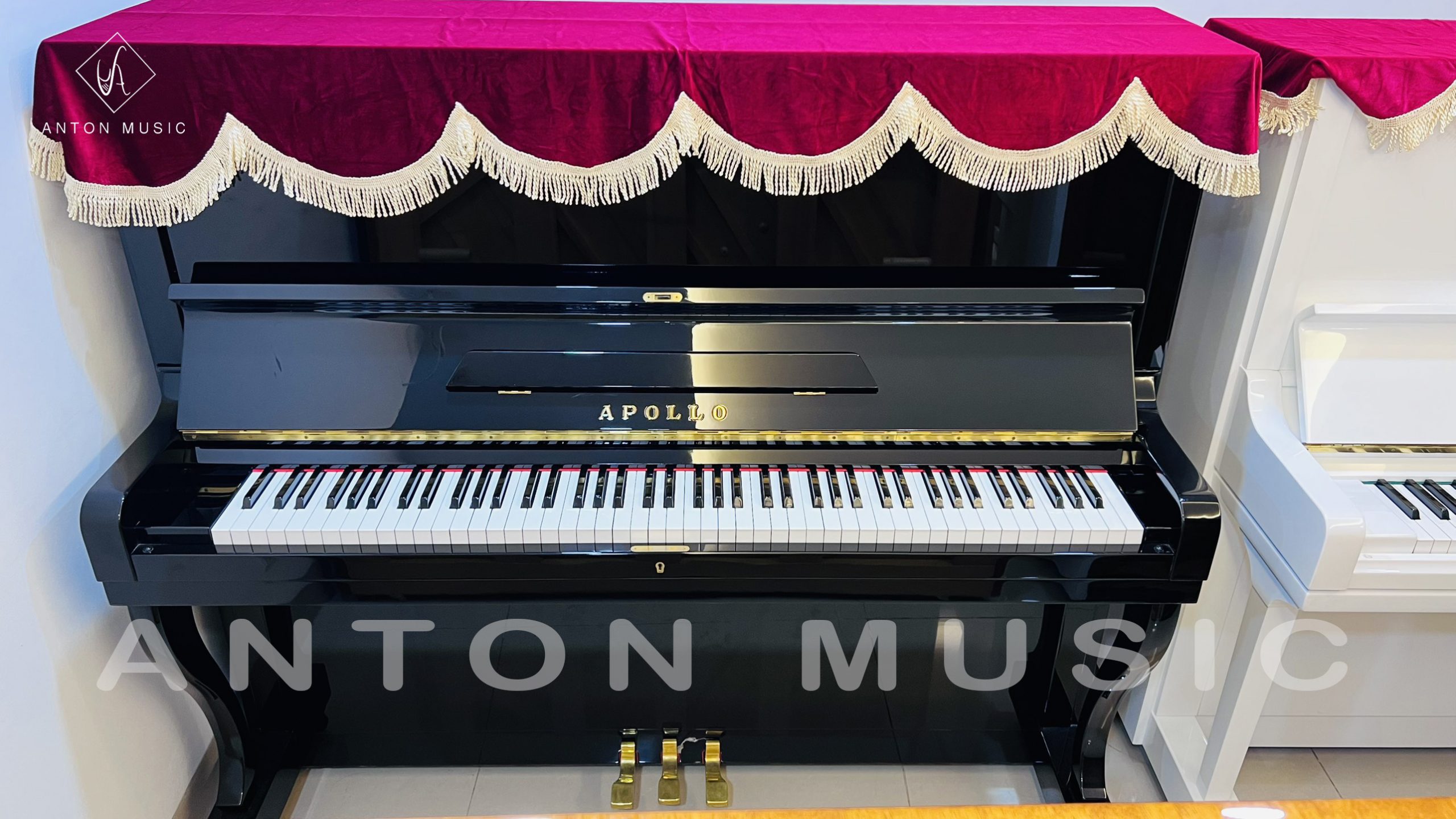 đàn piano điện giá rẻ Vũng Tàu