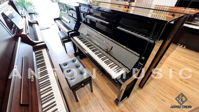đàn piano điện giá rẻ Bình Phước