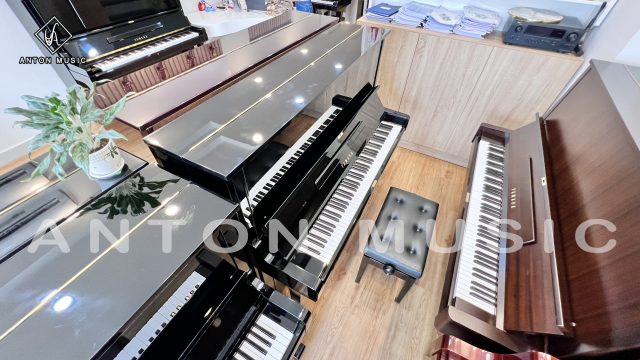 đàn piano điện giá rẻ Bình Định