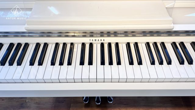 Piano Yamaha MoDus R01