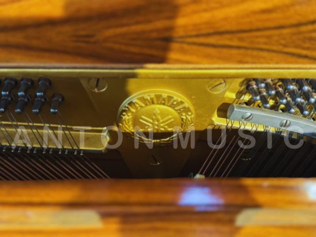Đàn Cơ Nhật Bản Yamaha W101 (Size U3) Dòng Wood Độc Bản