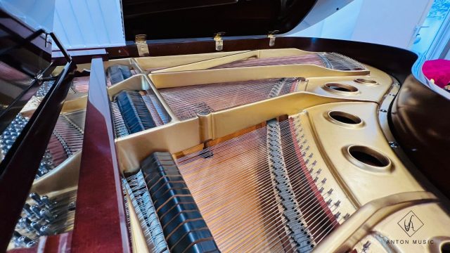 Đàn grand piano G5E