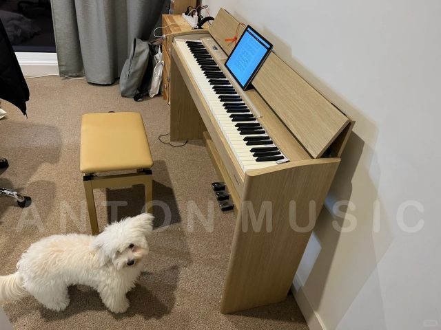 Đàn Piano Điện Roland F-701 Thiết Kế Nhỏ Gọn, Có Kết Nối Bluetooth