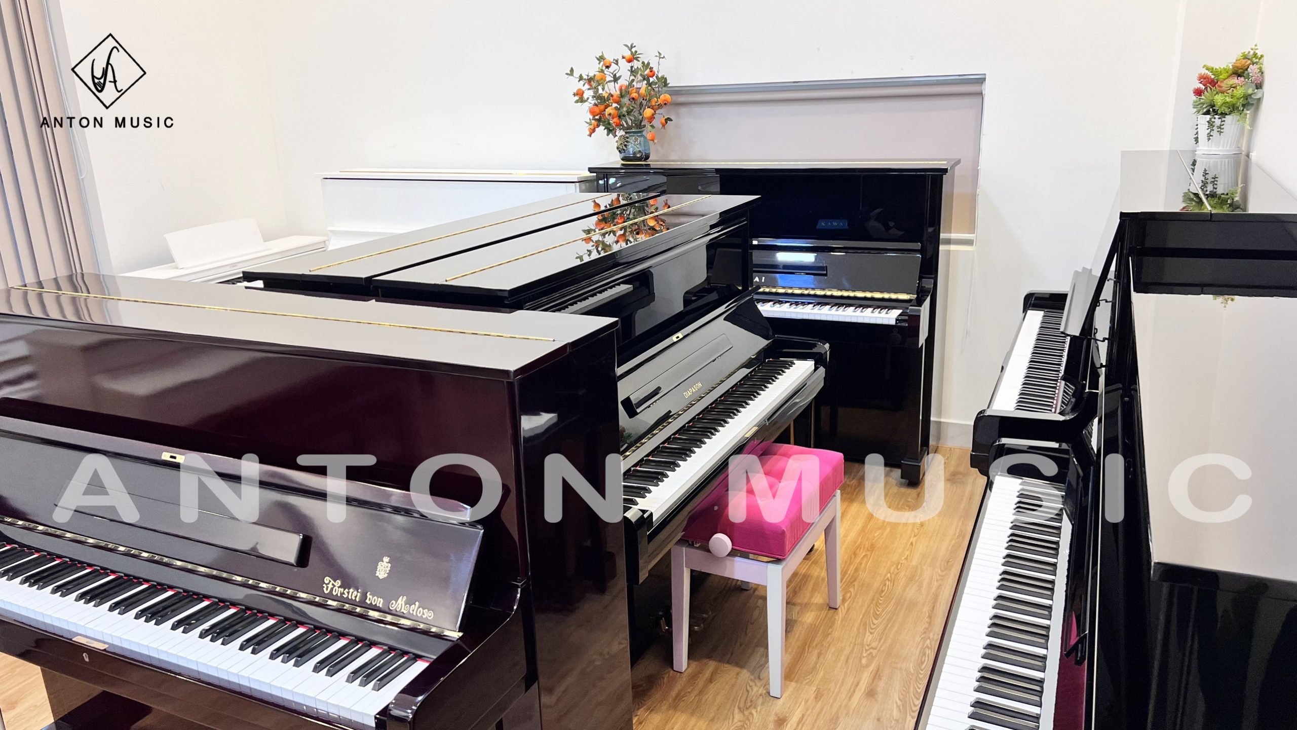Cửa hàng Piano cơ uy tín - Anton Music