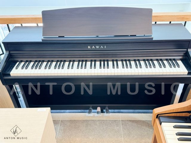 Đàn piano điện Kawai CA-4900GP