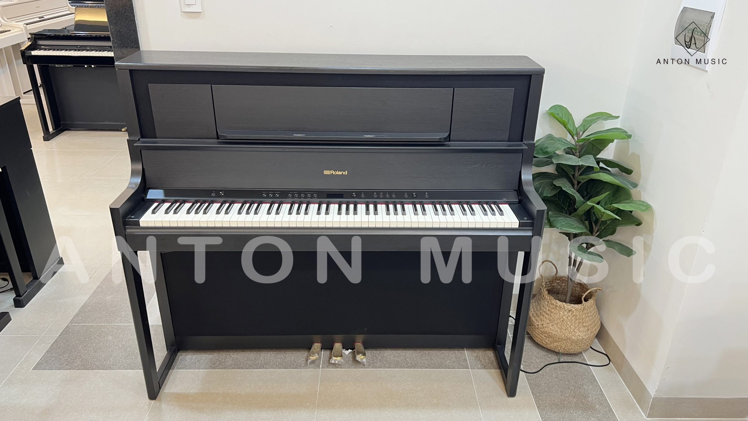 Đàn piano Trà Vinh
