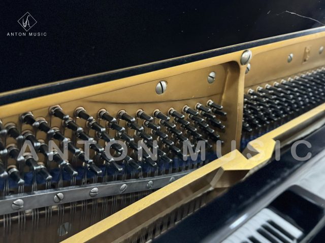Đàn Piano Cơ Upright Ngoài Dòng Eastein - Đàn piano lạc dòng