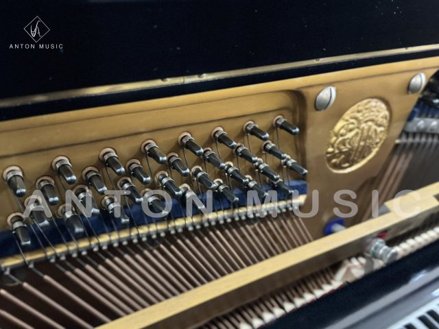 Đàn Piano Cơ Upright Ngoài Dòng Eastein - Đàn piano lạc dòng