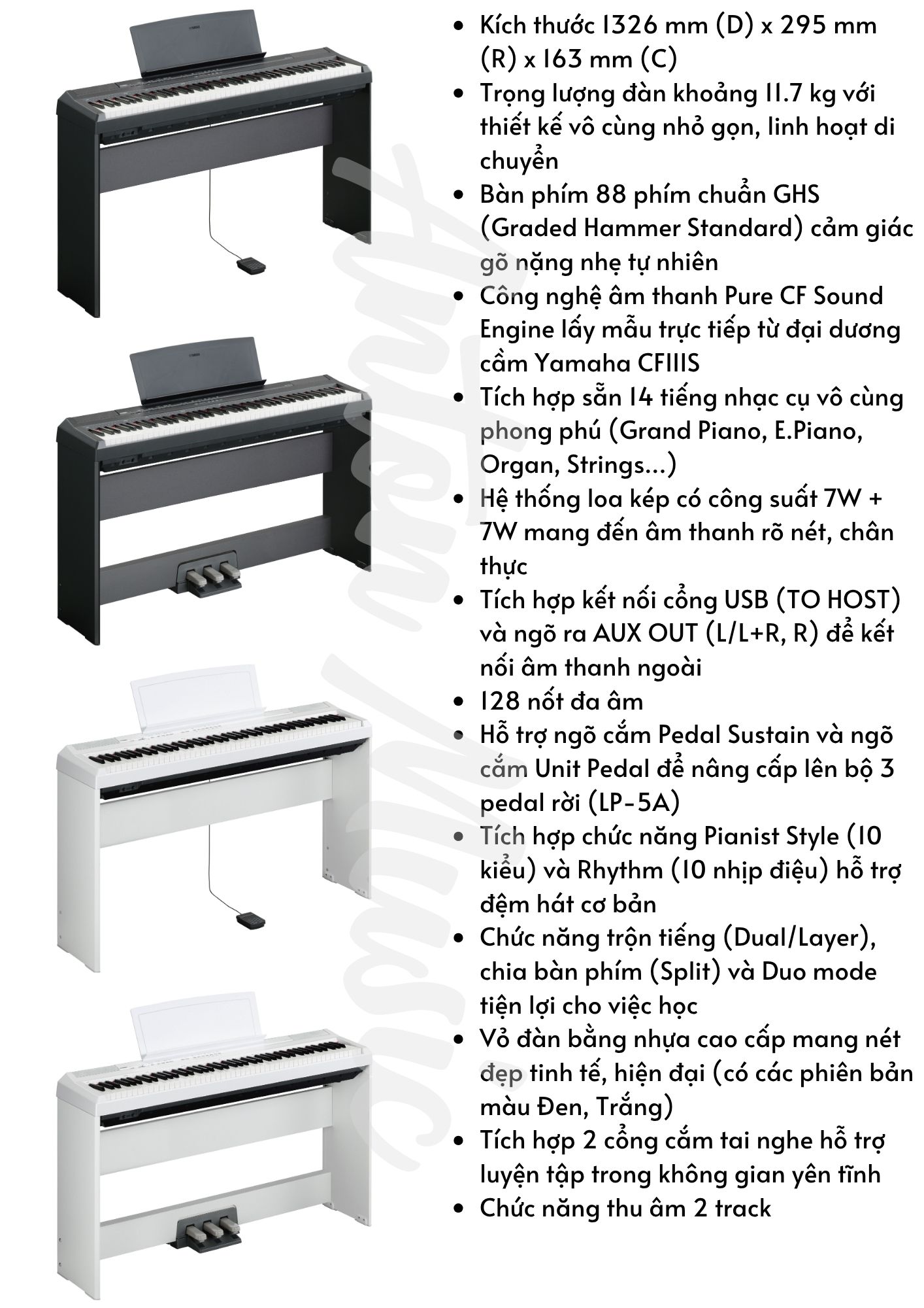 Đàn piano điện nhỏ gọn Yamaha P105 giá từ 10.5 triệu