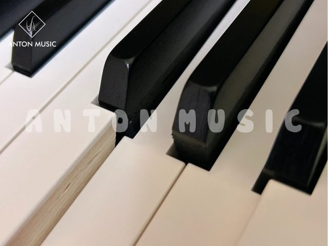 Đàn Piano Điện Hybrid Kawai CA-901 Concert Artist