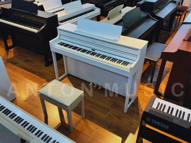 Đàn Piano Roland HP704 Hàng Nhập Khẩu Chính Hãng, Bảo Hành Toàn Quốc, Dịch Vụ Hậu Lâu Dài