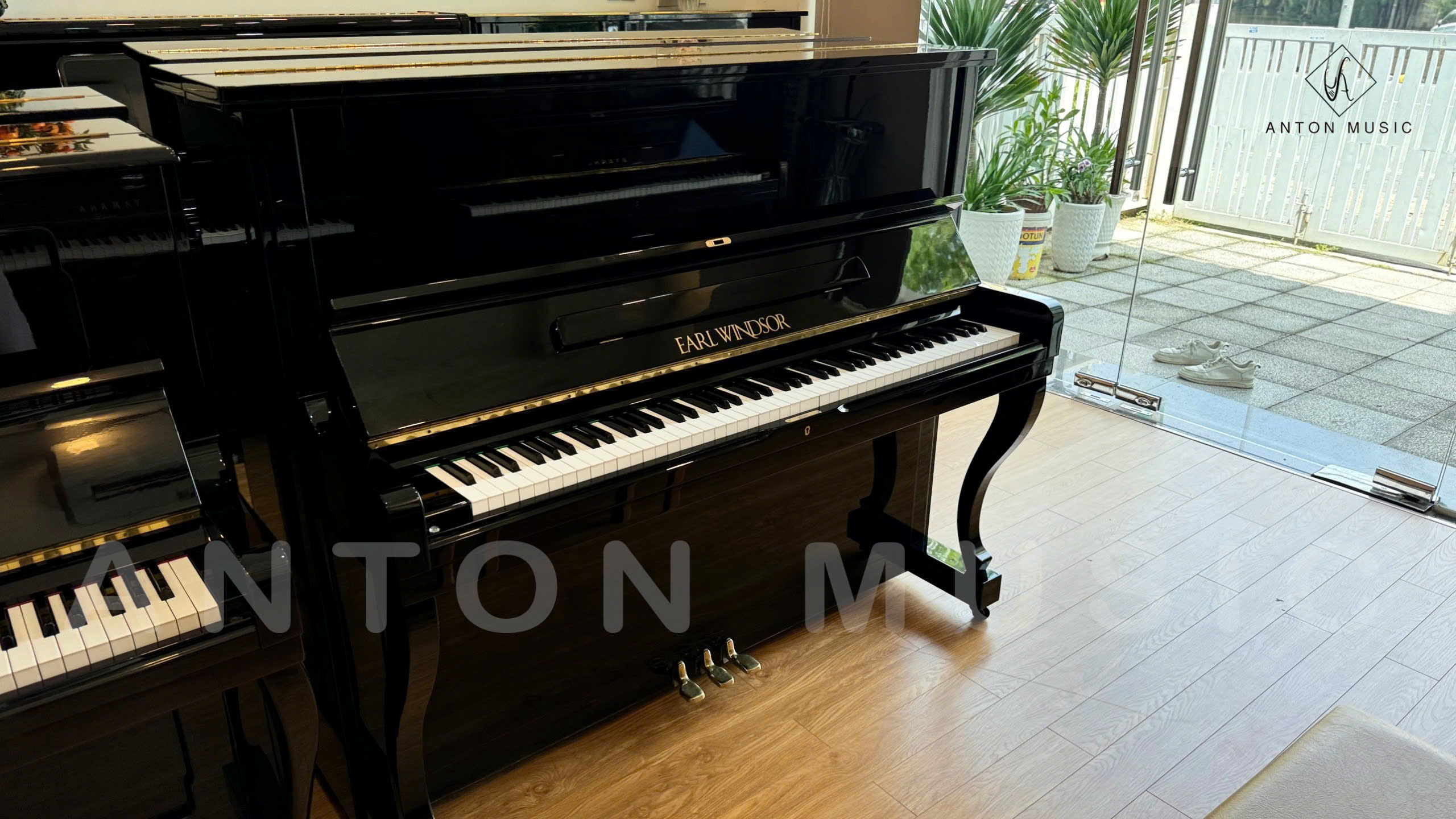 Flora Earl Windsor W114-PE Used Polished Ebony (Đen Bóng) - Upright