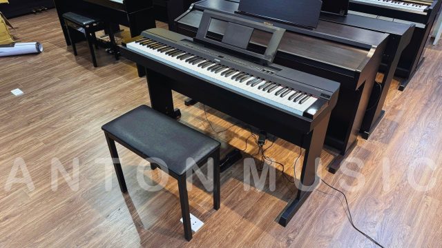 Đàn piano điện di động biểu diễn sân khấu Yamaha P-255 nhỏ gọn, phím nặng đầm tay, tinh chỉnh EQ chuyên sâu, loa lớn