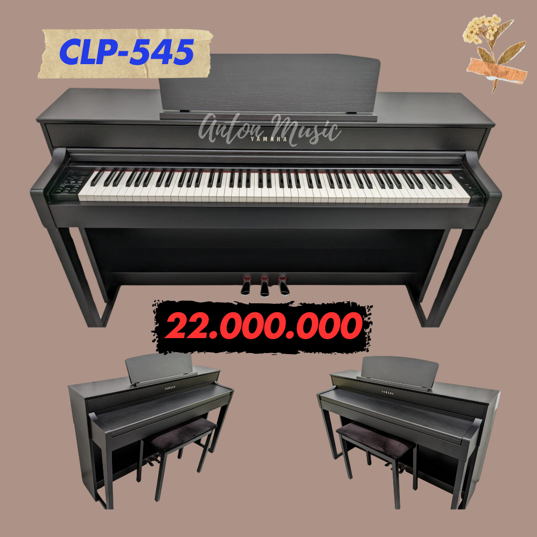 Anton Music Phân Phối Đàn Piano Khu Vực Đông Nam Bộ