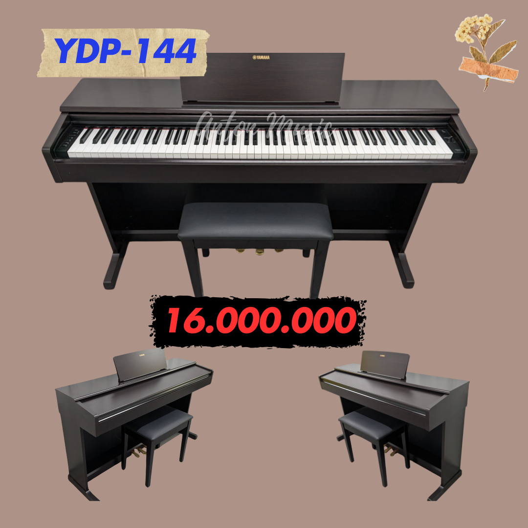 Anton Music Phân Phối Đàn Piano Khu Vực Đông Nam Bộ
