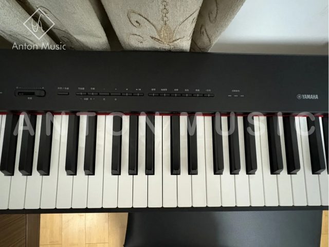Đàn Piano Điện Yamaha P-223 B Used Black (Đen) Portable