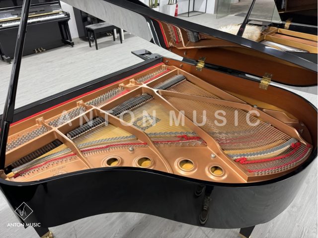 Đại Dương Cầm Yamaha GB1K