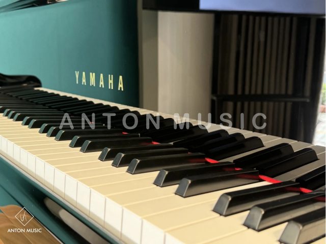 Đại Dương Cầm Yamaha GB1K