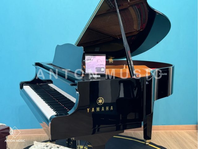 Đại Dương Cầm Yamaha GB1K