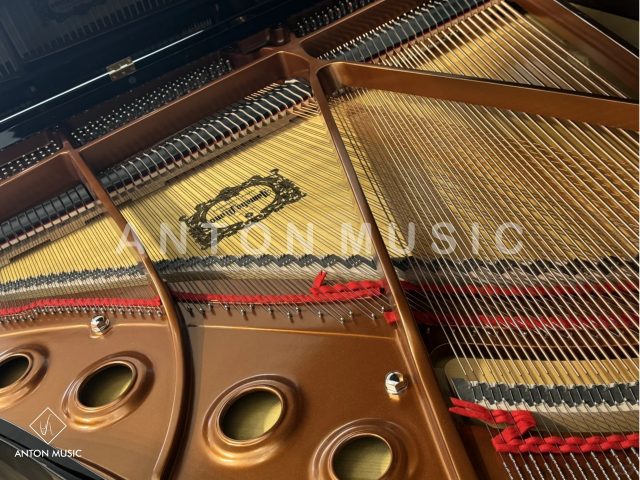 Đại Dương Cầm Yamaha GB1K