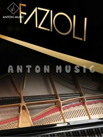 Đại Dương Cầm Fazioli F198 Nhập Khẩu Ý