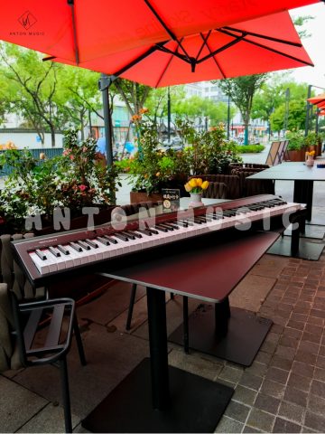 Đàn Piano Điện Roland GO-88P (GO:PIANO88)