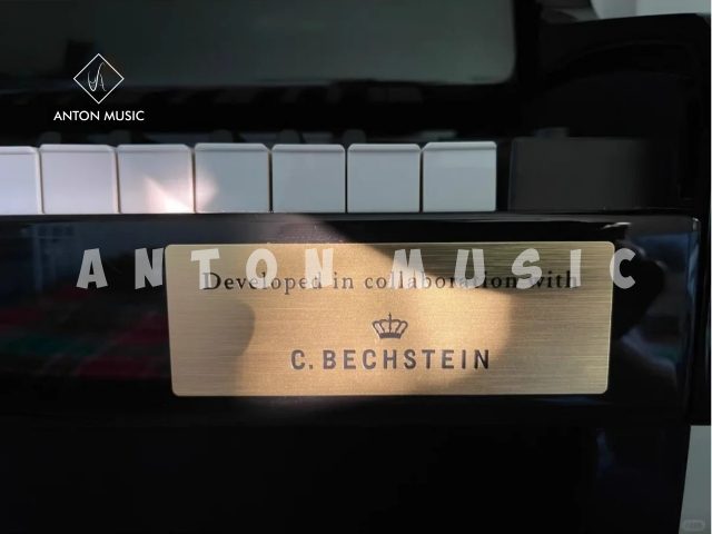 Đàn Piano Điện Casio GP-310 NEW CELVIANO Grand Hybrid