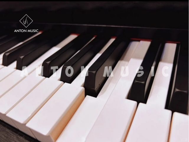 Đàn Piano Điện Casio GP-310 NEW CELVIANO Grand Hybrid